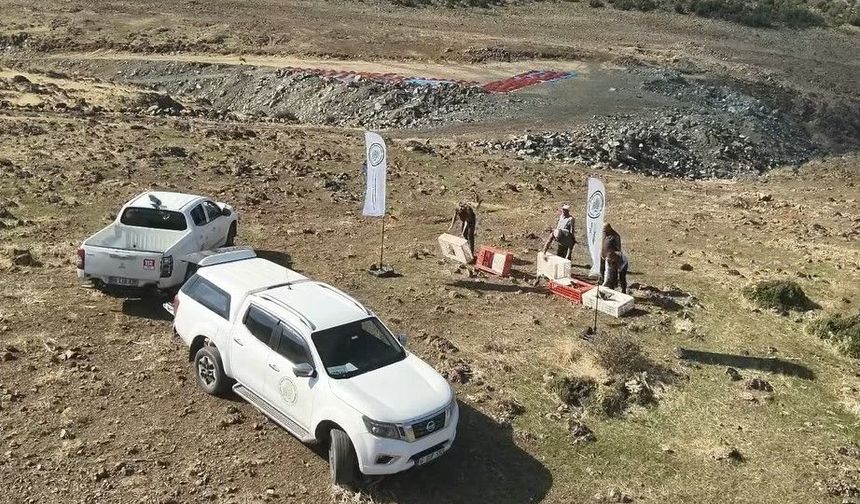 Gaziantep’te yüzlerce kınalı keklik doğaya salındı