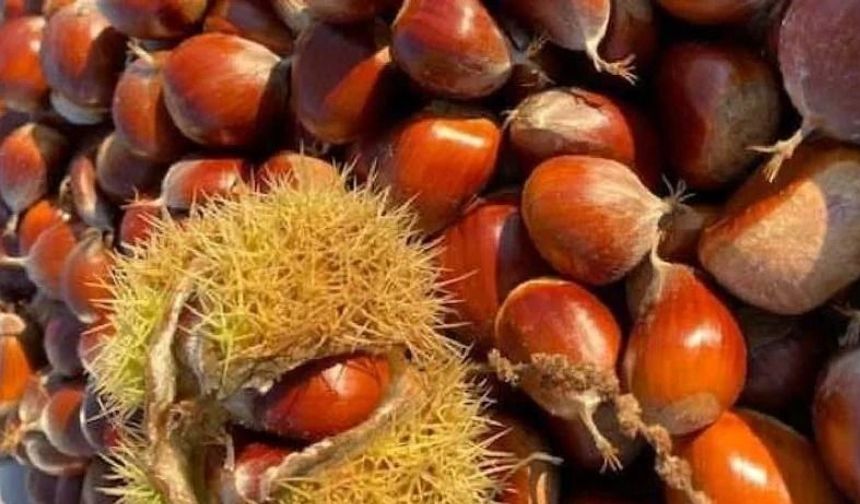 Türkiye, Kestaneli Lezzetler Listesinde İlk 3’te