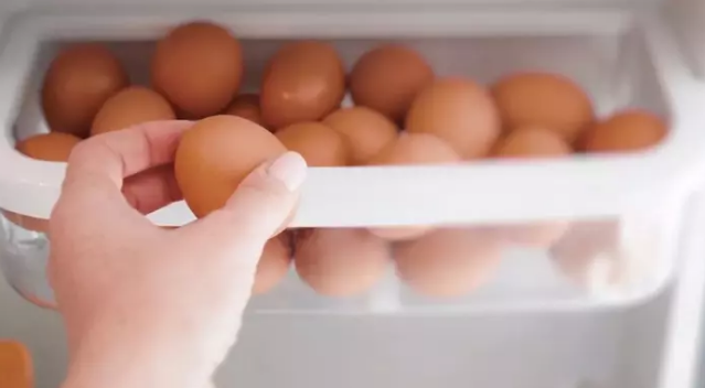 Yumurta Buzdolabı