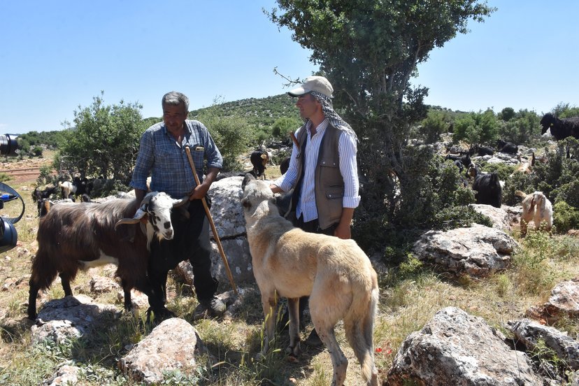 Köpeklerin Ilaçlanması (5)