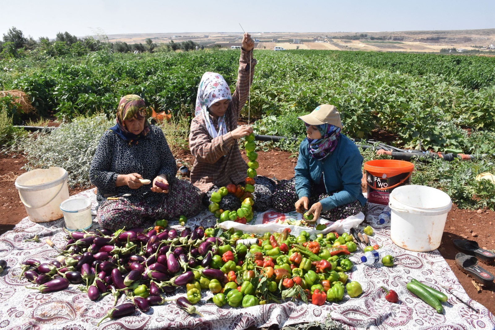 Kurutmalık (1)