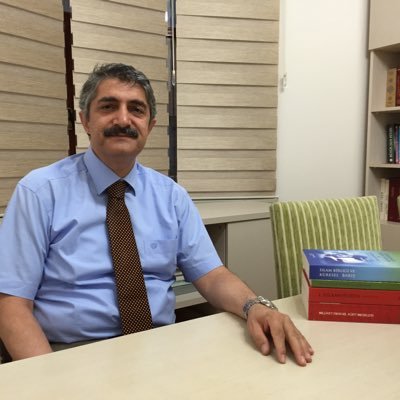 Prof.dr. Cengiz Toraman