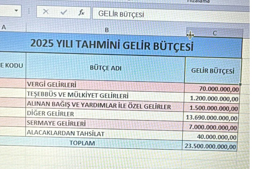 Bütçe