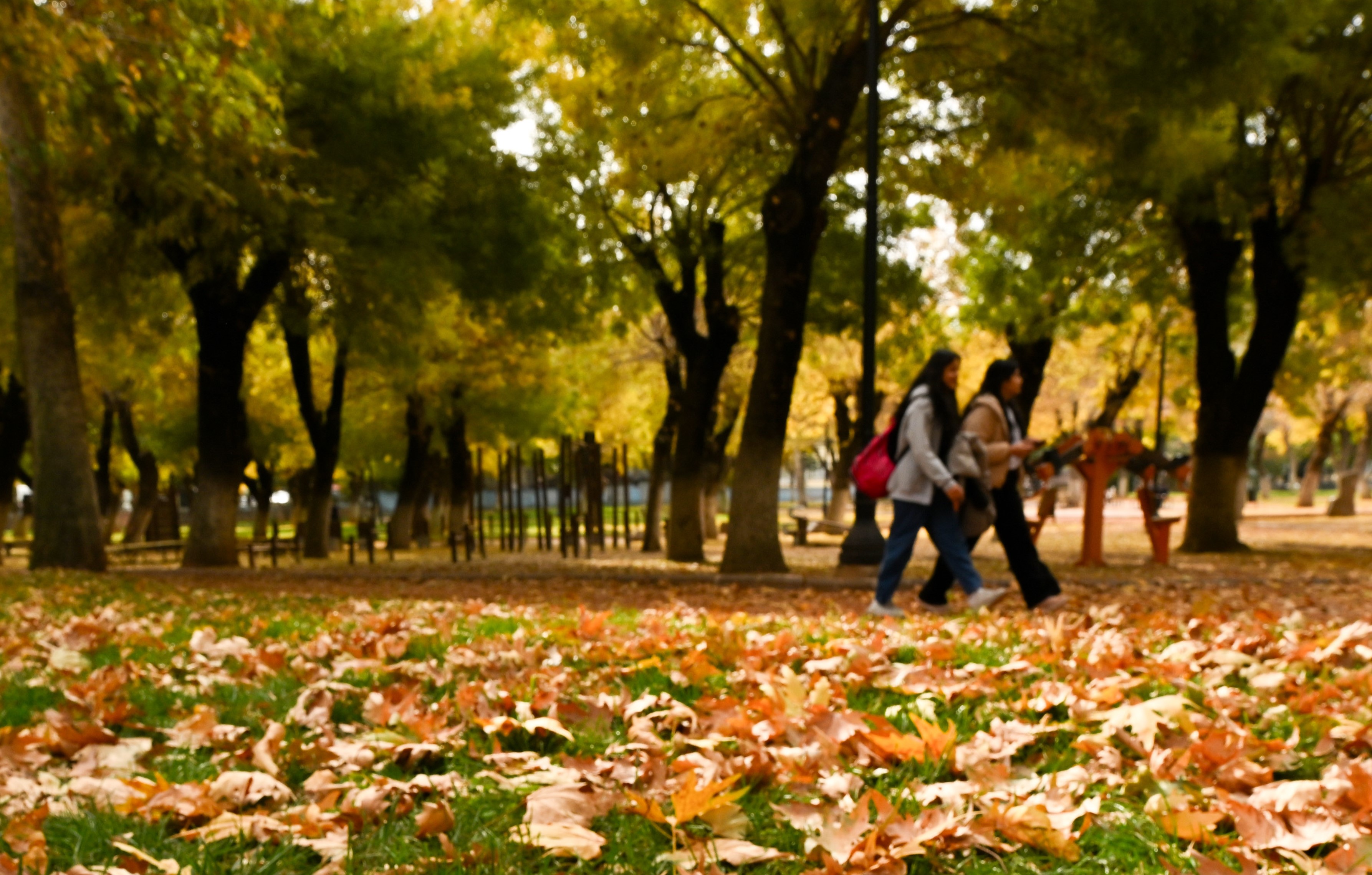 Sonbaharda Kartpostallık Manzara