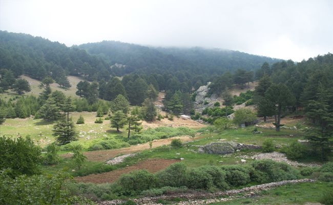 Huzurlu Tabiat Parkı1