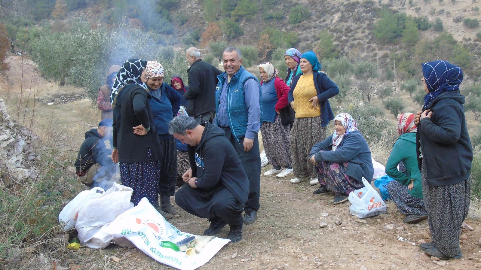 Zeytin Hasadı1 (3)