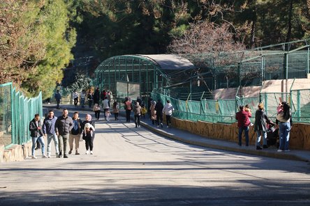 Hayvanat Bahçesiaa 20250101 36638721 36638718 Gaziantep Hayvanat Bahcesi Yilin Ilk Gunu Ziyaretcileri Agirladi