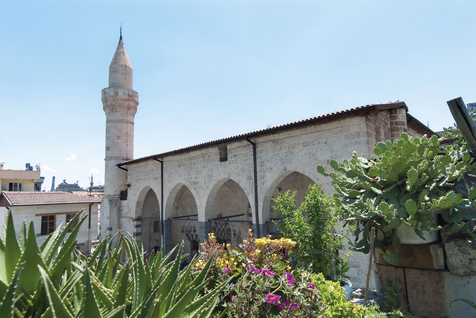 Şeyh Fethullah Camii Ve Külliyesi