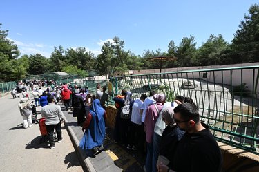 Hayvanat Bahçesiaa 20250505 37848780 37848774 Gaziantep Dogal Yasam Parkinda Bahar Bereketi Yasaniyor