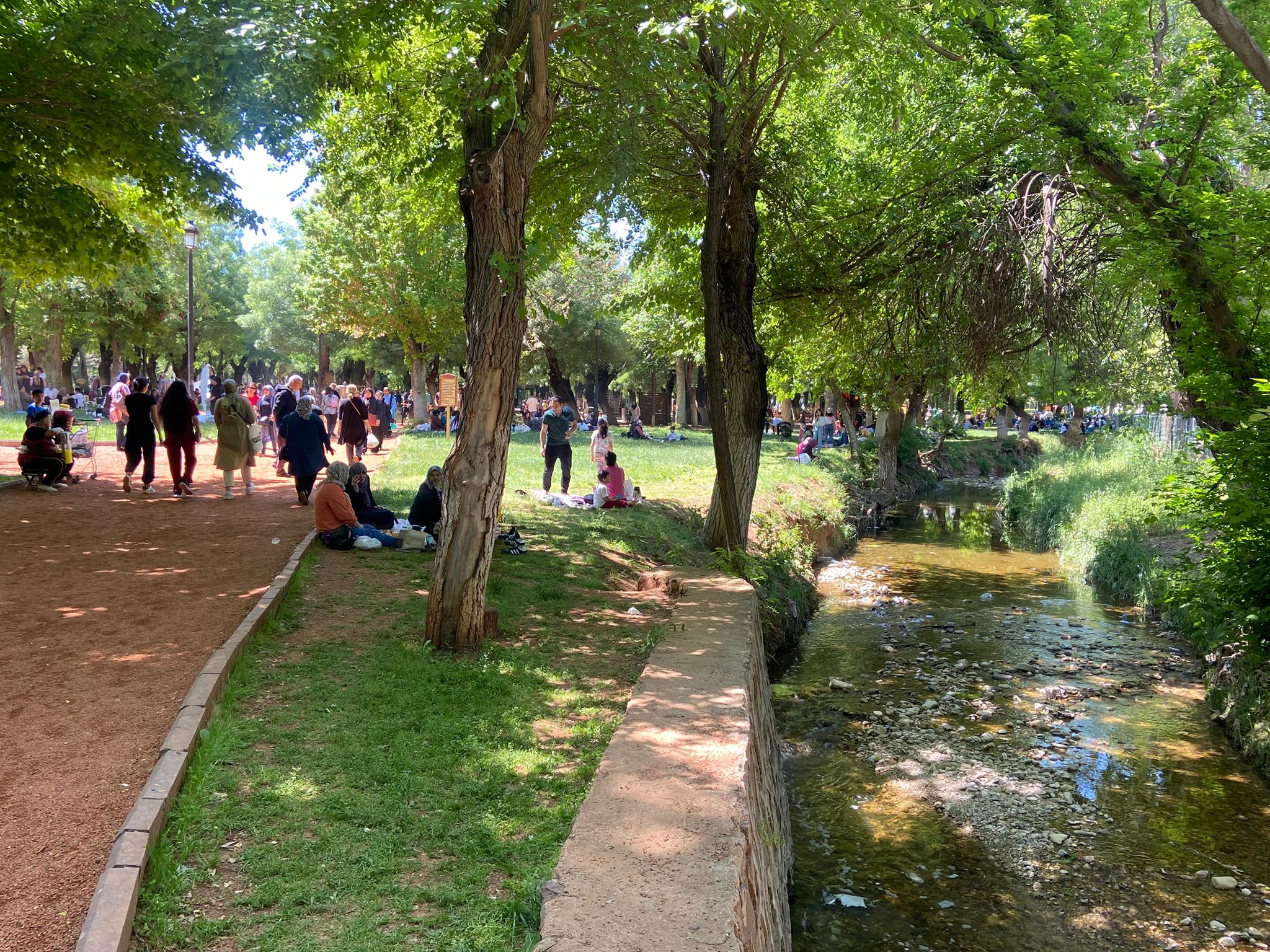 Hıdırellezz (3)