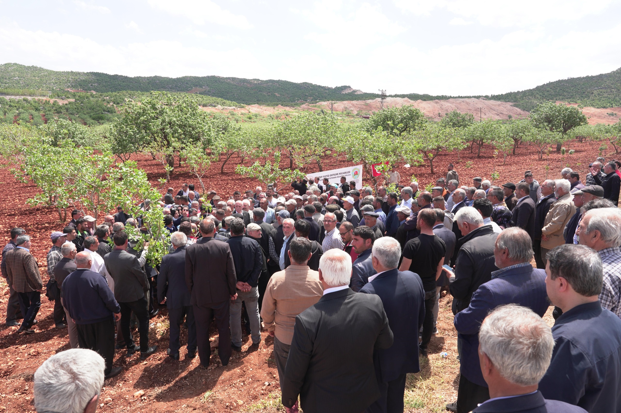 Tzob Başkanı (1)