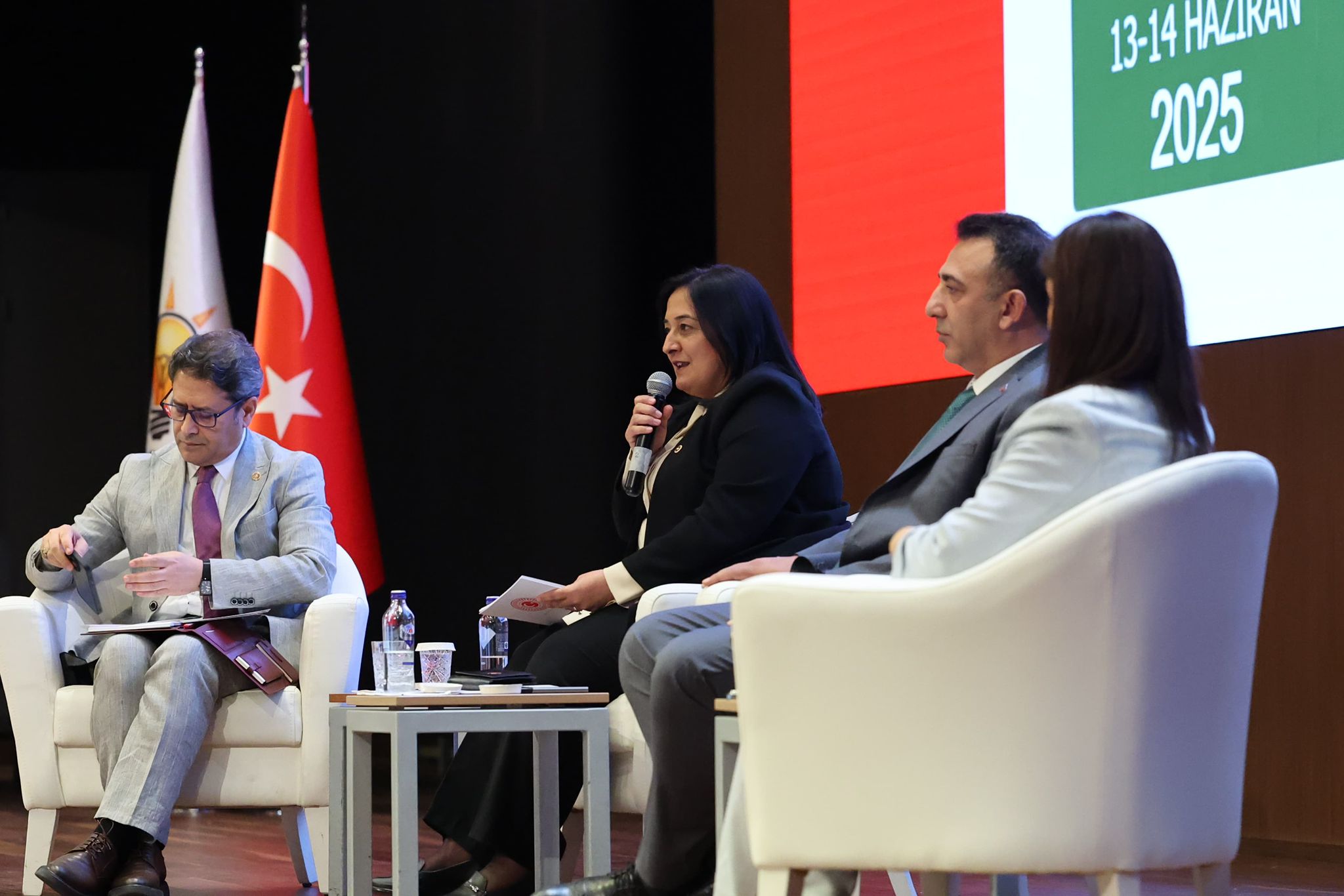 Ali Şahin (4)-2