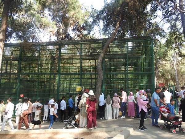 Hayvanat Bahçesi̇ (1)