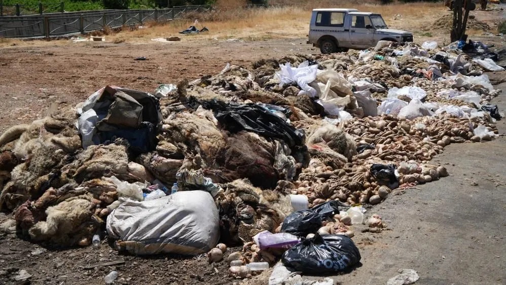 Kurban Çöp (3)