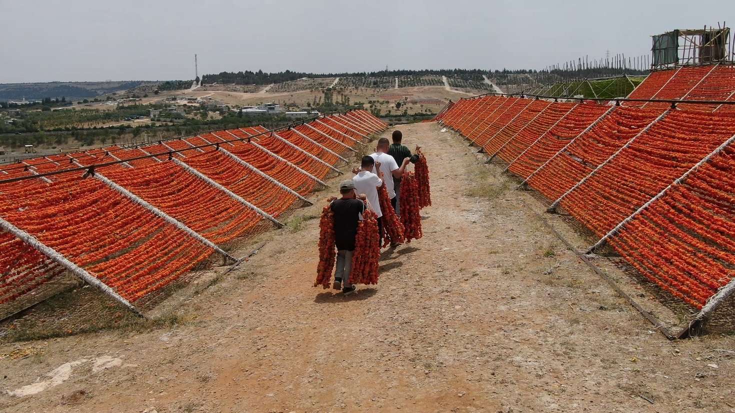 Kurutmalık A W474375 05