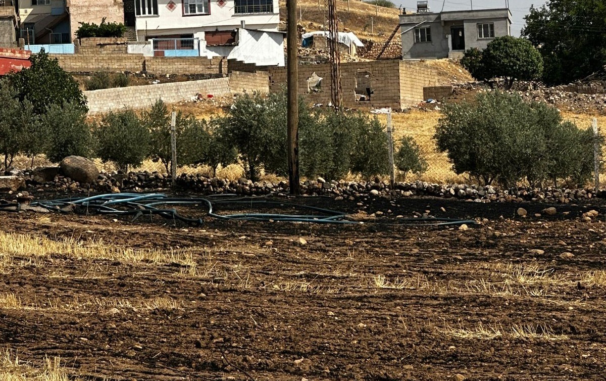 Meriç’ten Çiftçiye Destek (3)