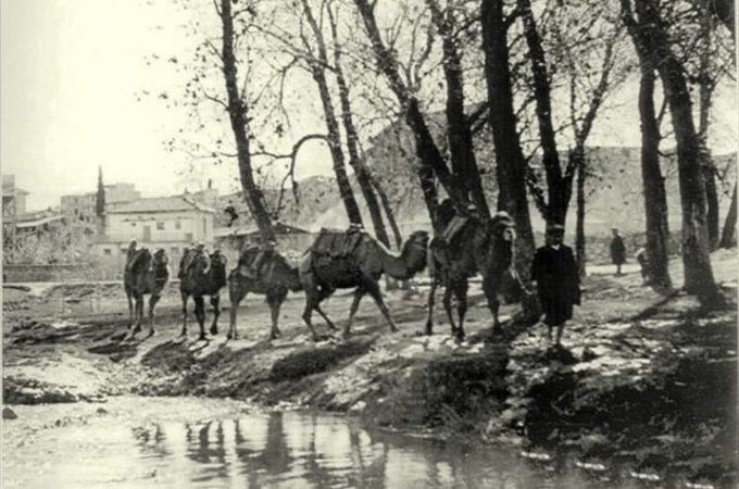 Alleben4