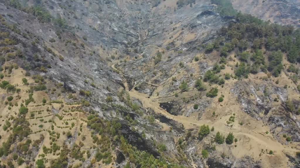 Gaziantep’ten Maraş’a Destek! (2)