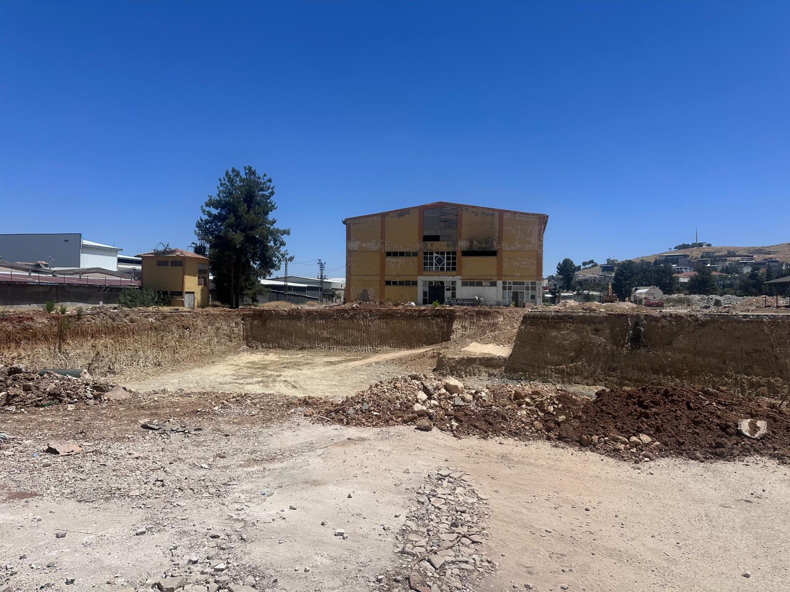 Güneydoğubirlik’in Yerinde Ağaç Katliamı (3)