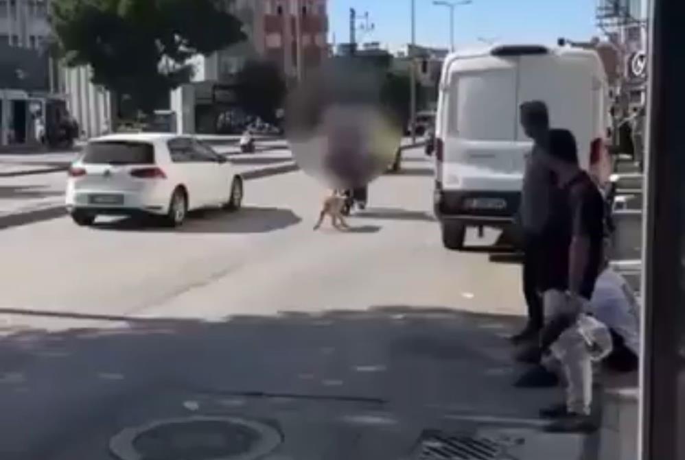 Hayvana Şiddet1