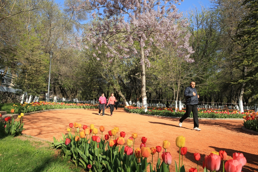 Kavaklık Parkı