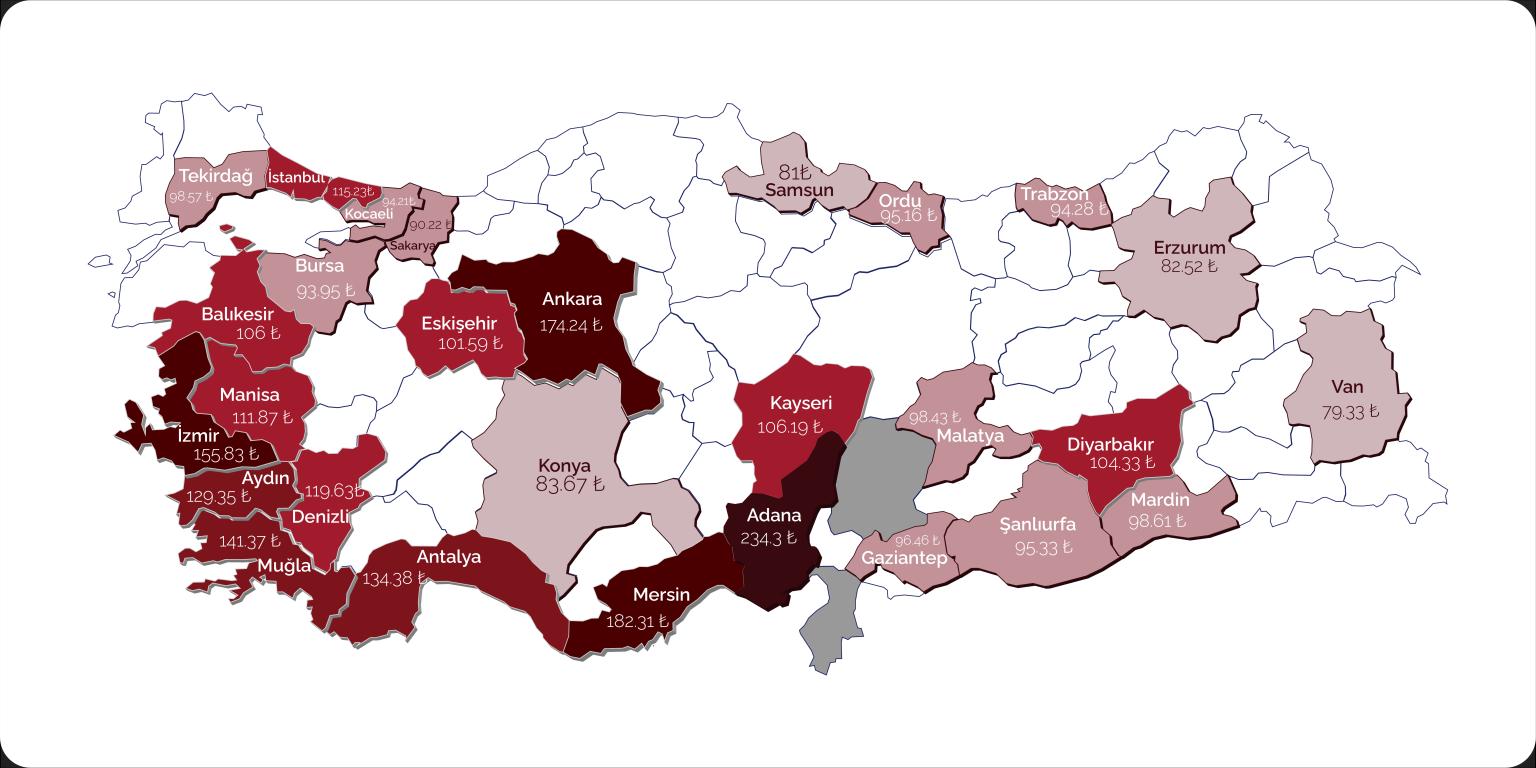 Lahmacun (1)