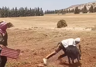 Eşekekran Resmi 2025 08 26 13.50.48
