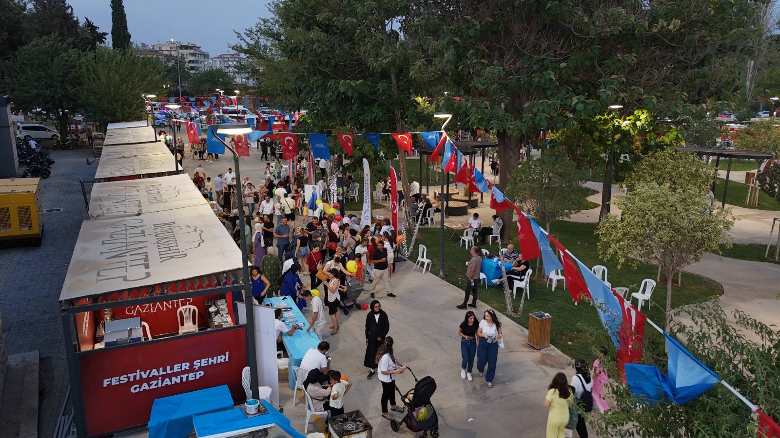 Festival (1)-2