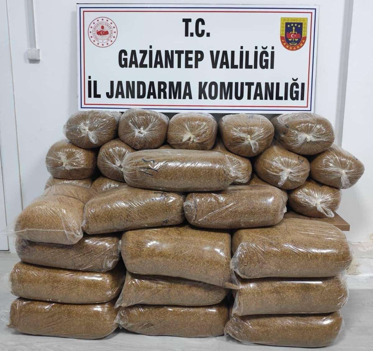 Kaçak (1)-2