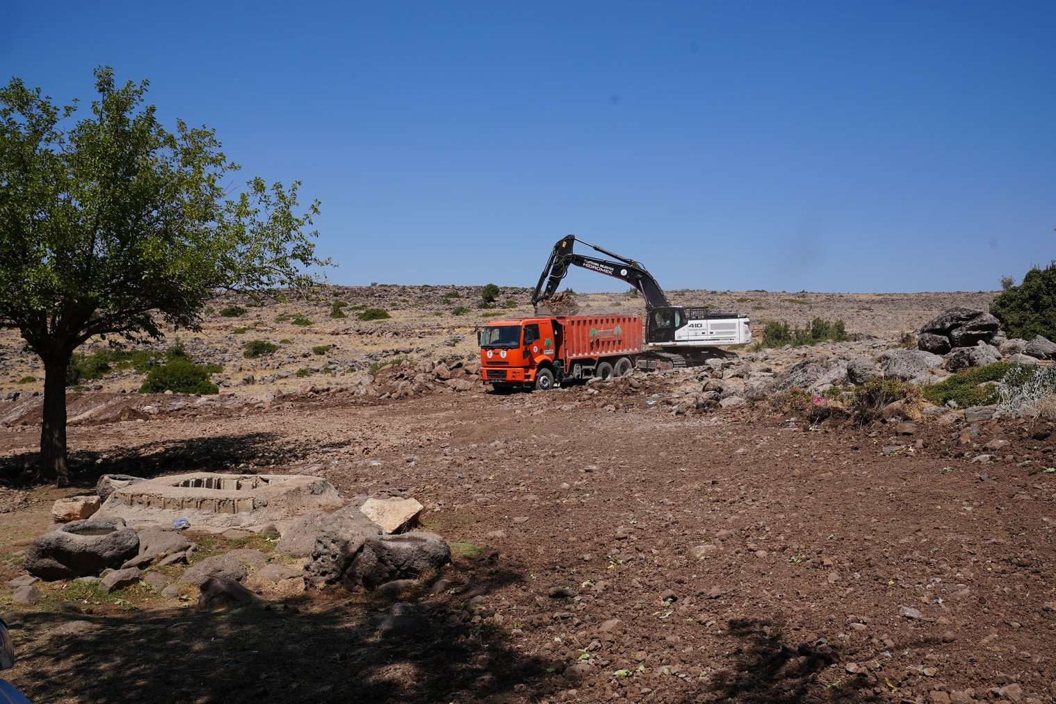 Kırsal1 (7)-1