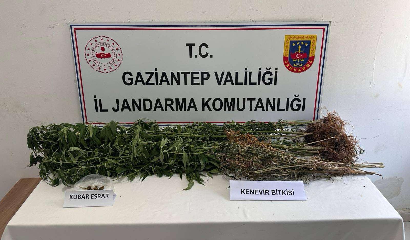 Yasaklı Madde Operasyonu (2)