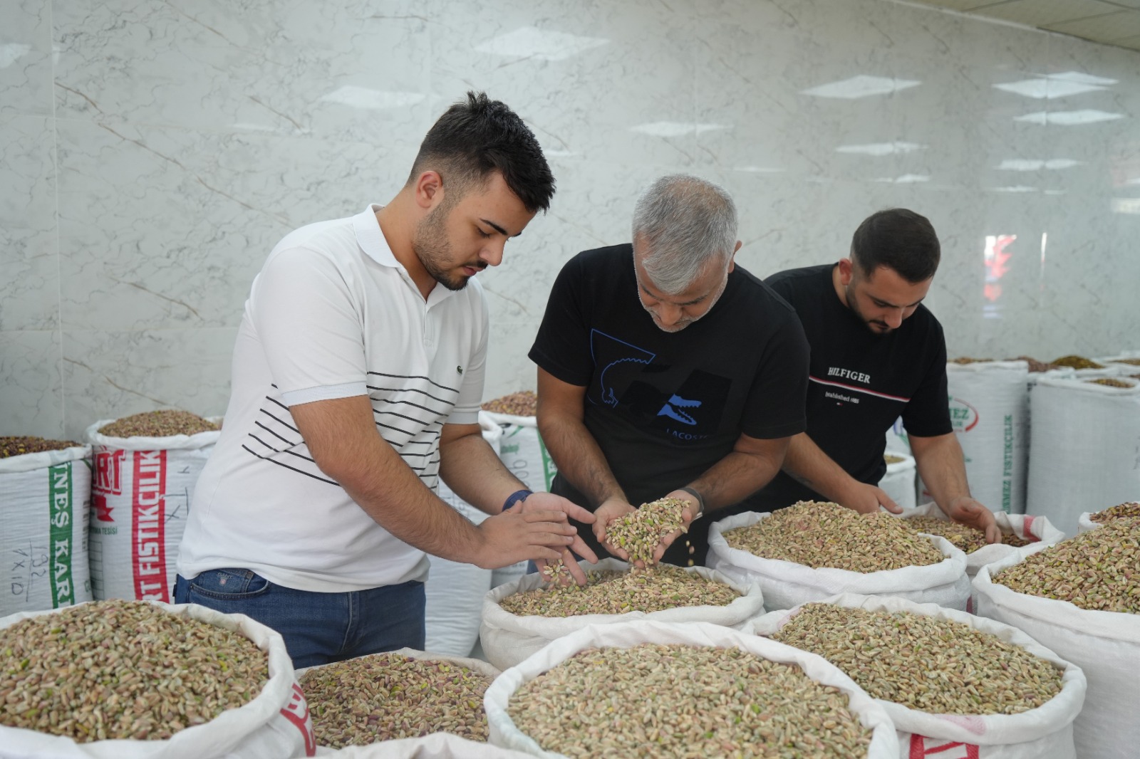 Antep Fıstığı (2)-1