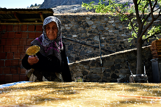 Bastık1