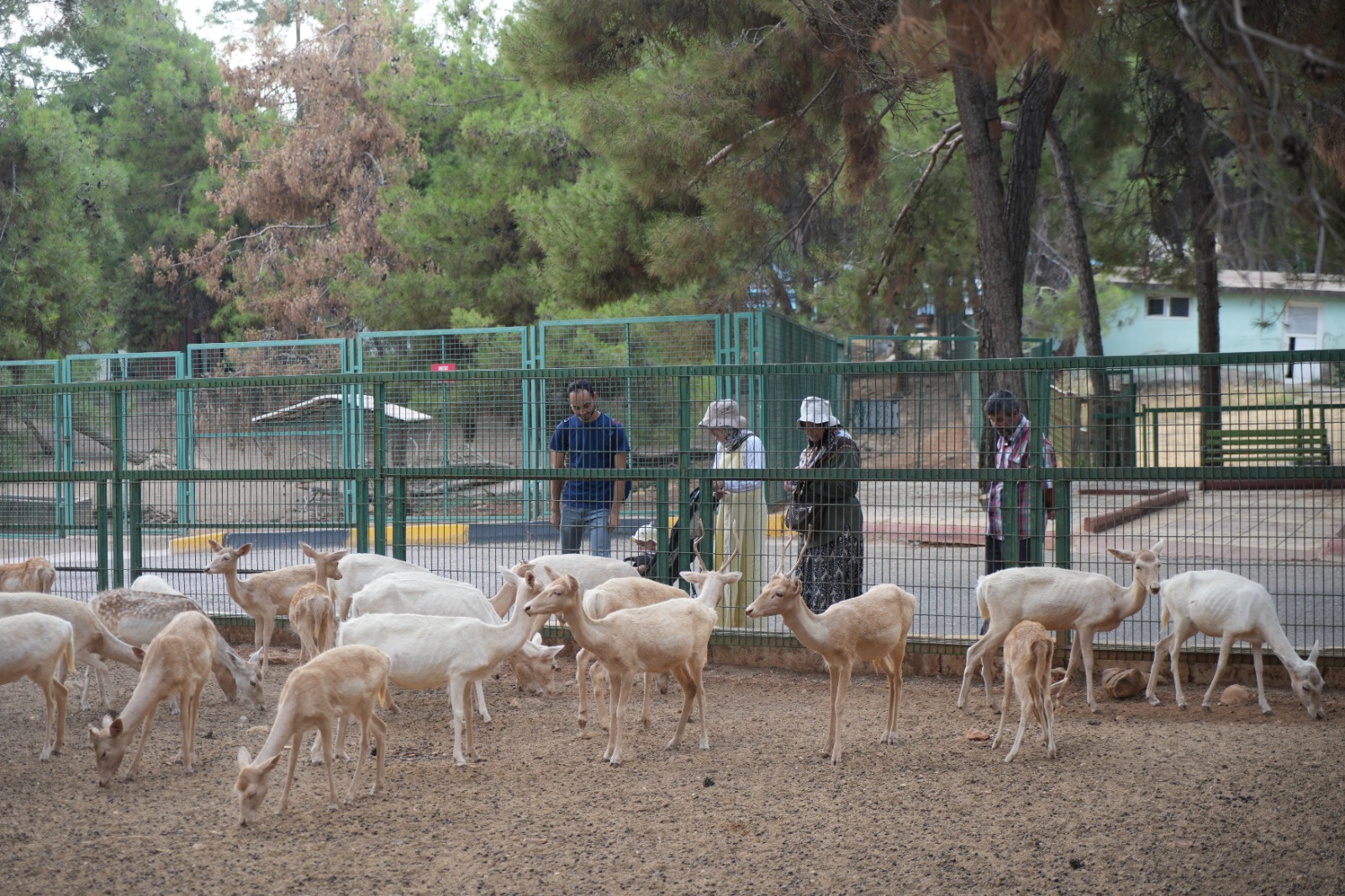 Doğal Yaşam Parkı (5)-1