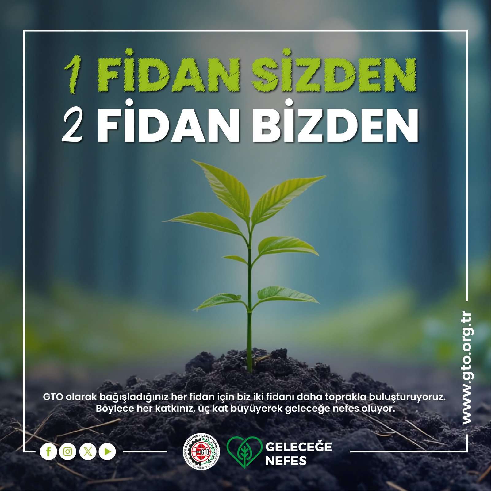 Fidan Bağışı