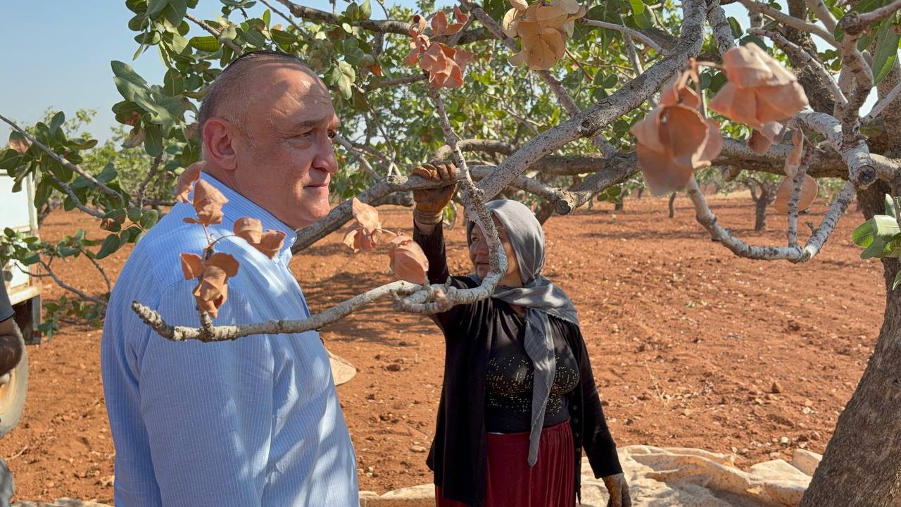 Fıstık Meriç