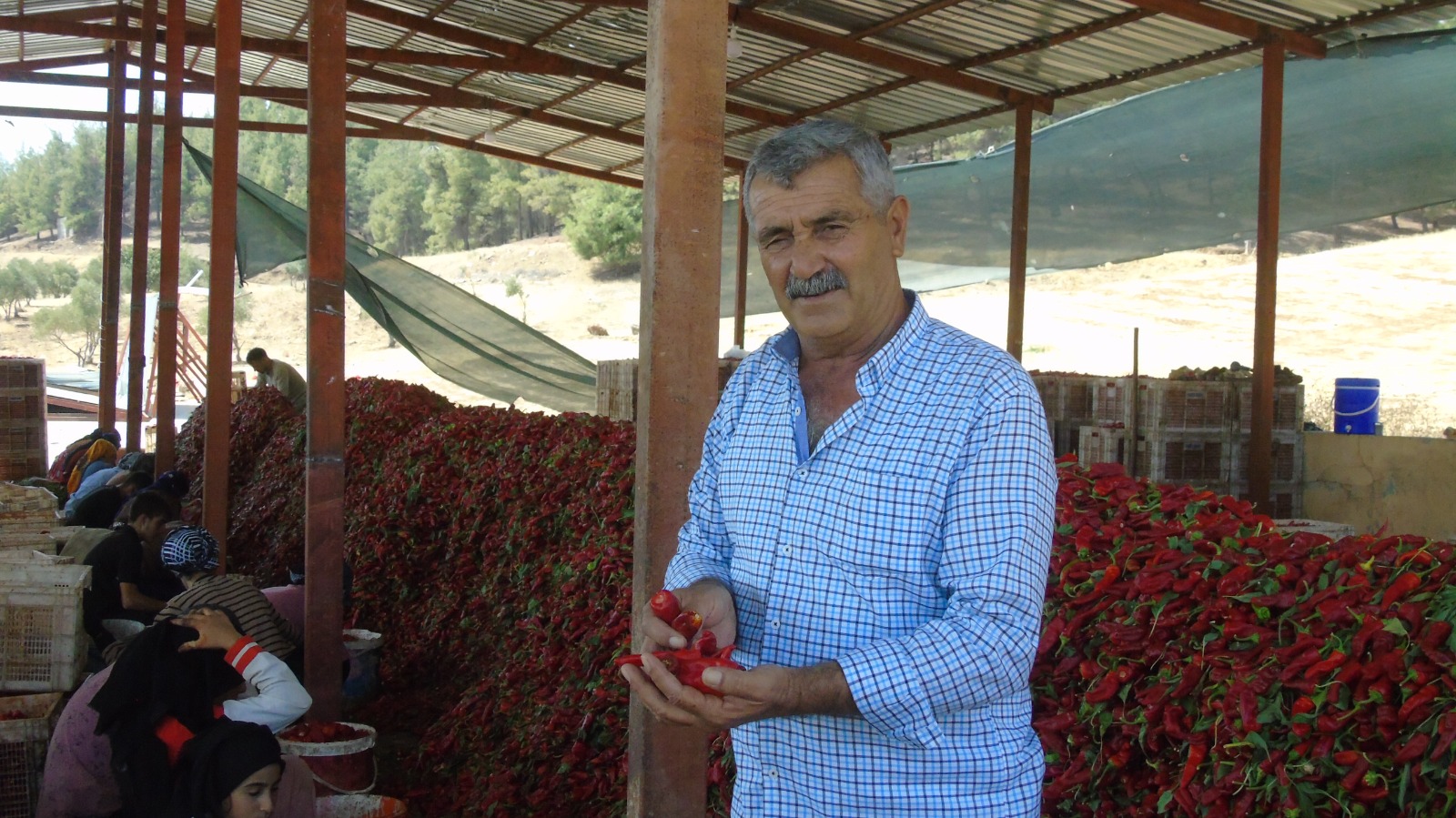 Gaziantep'te Acı Mesaisi Başladı! (6)