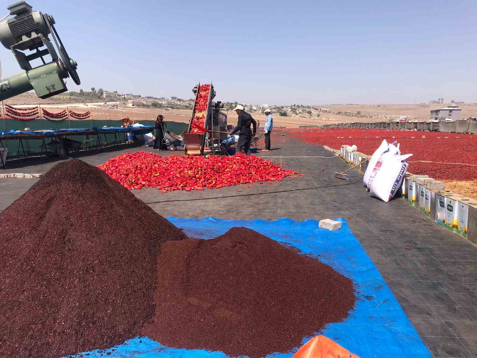 Pul Biber ve İsot Arasındaki Farklar
Pul biber ile isot arasında çeşitli farklar bulunuyor. Pul biber, kurutulmuş kırmızı biberlerin öğütülmesiyle elde edilirken; isot, güneşte daha uzun süre bekletildiğinden rengini koyu siyaha dönüştürür.