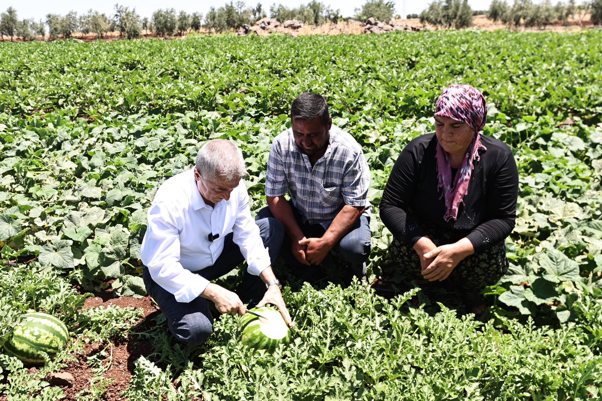 Fırat’ın Suyu Gelmezse Çiftçilik Bitecek (3)