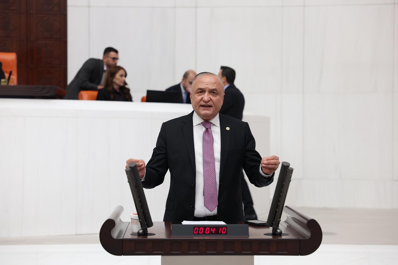 Melih Meriç (2)-4