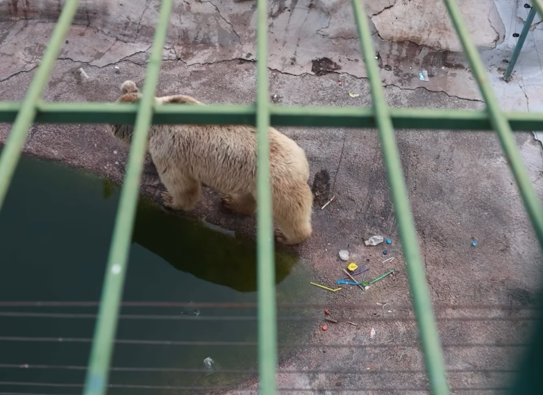 Bu Iddialar Doğru Mu (9)