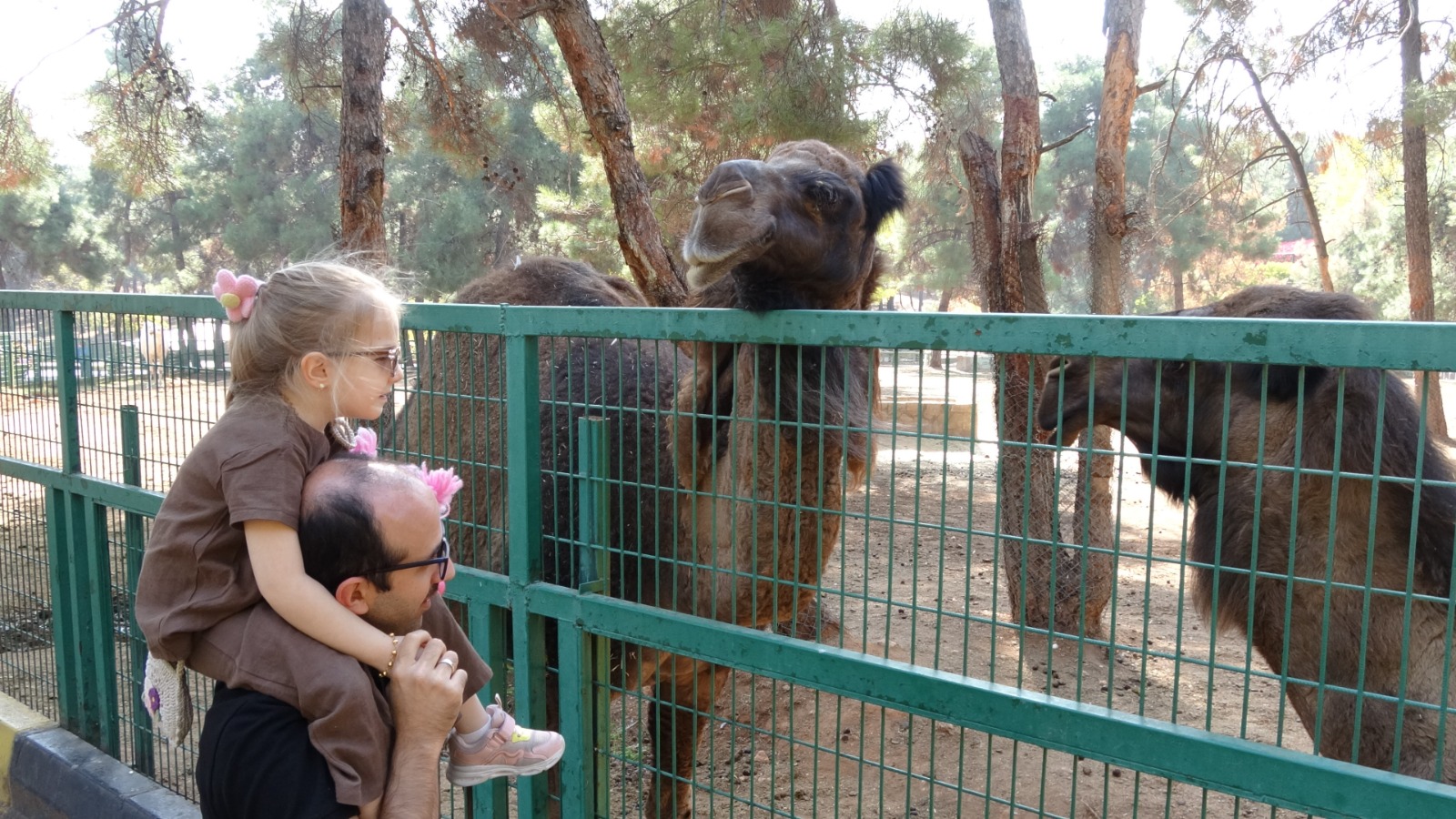 Gaziantep Doğal Yaşam Parkı (2)-1