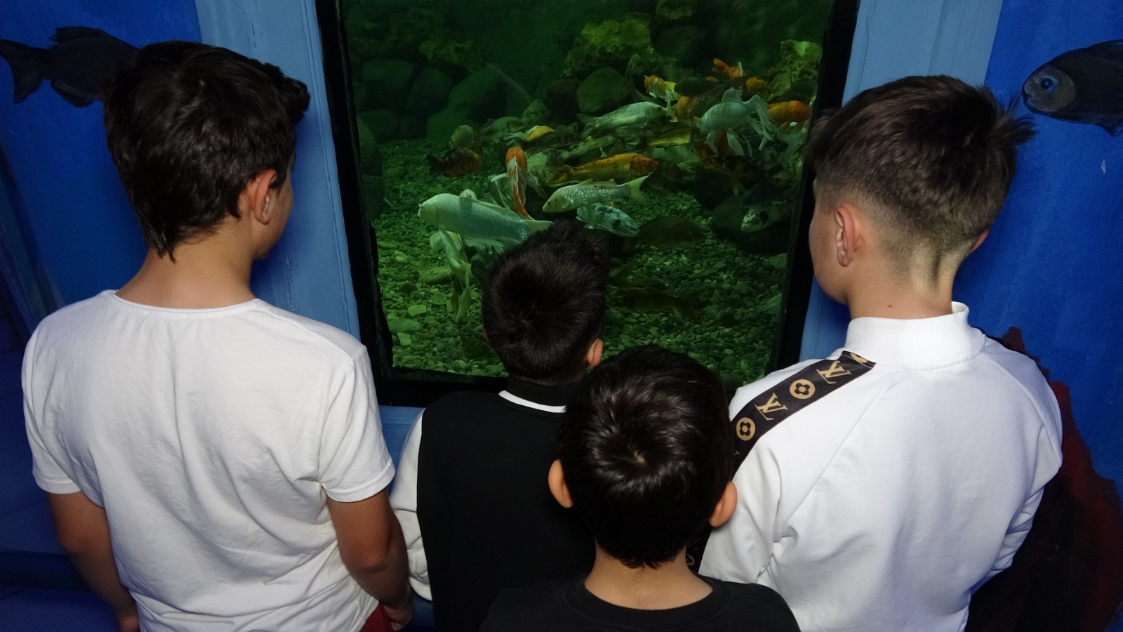 Gaziantep Doğal Yaşam Parkı (5)