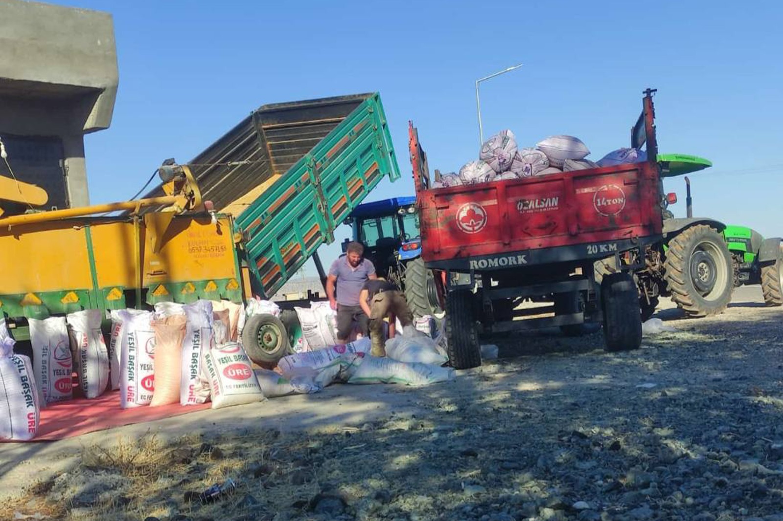 Makarnalık Ve Baklavalık Buğday Sezonu Başladı (2)