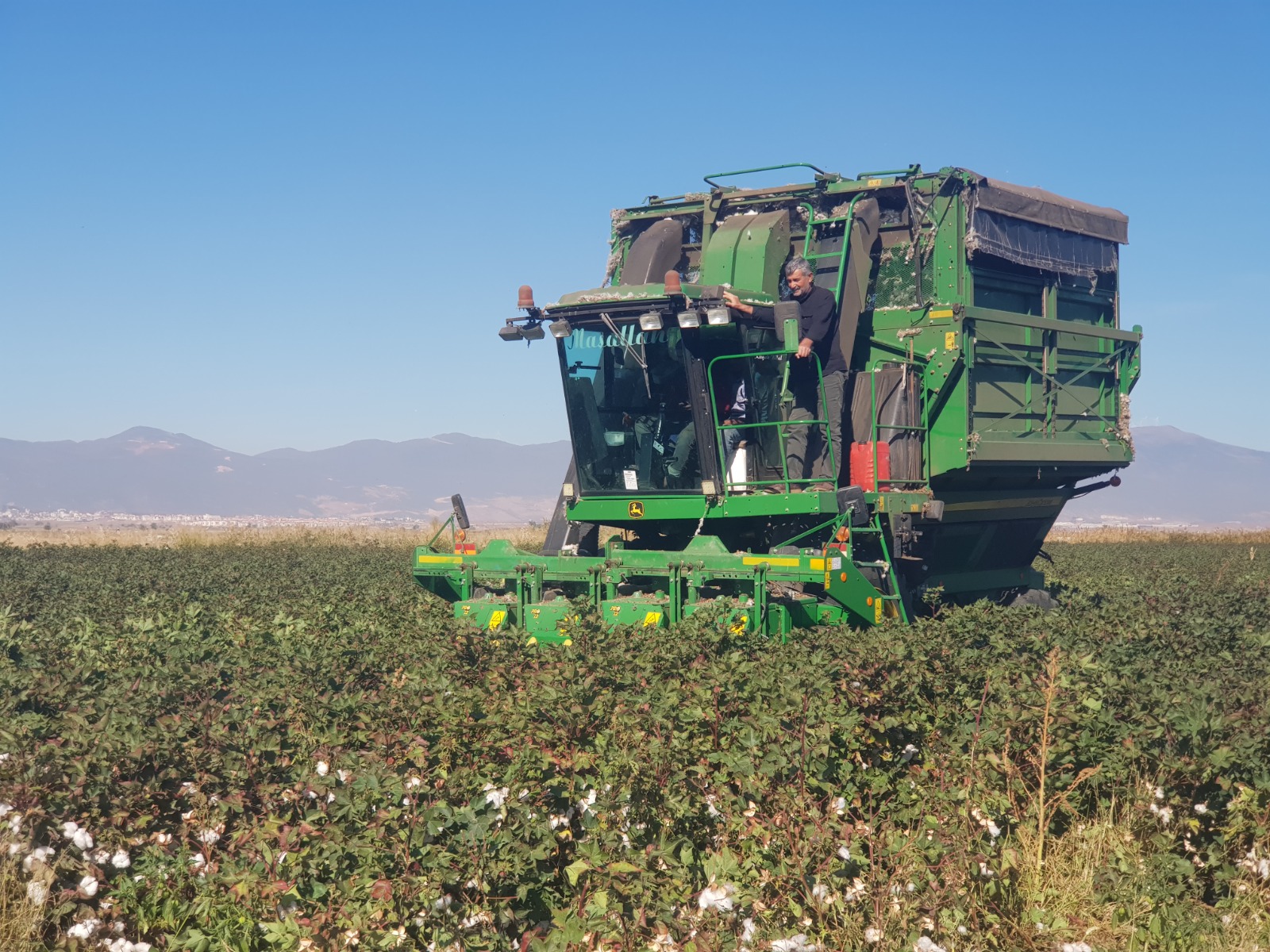 Pamuk Hasatı (2)