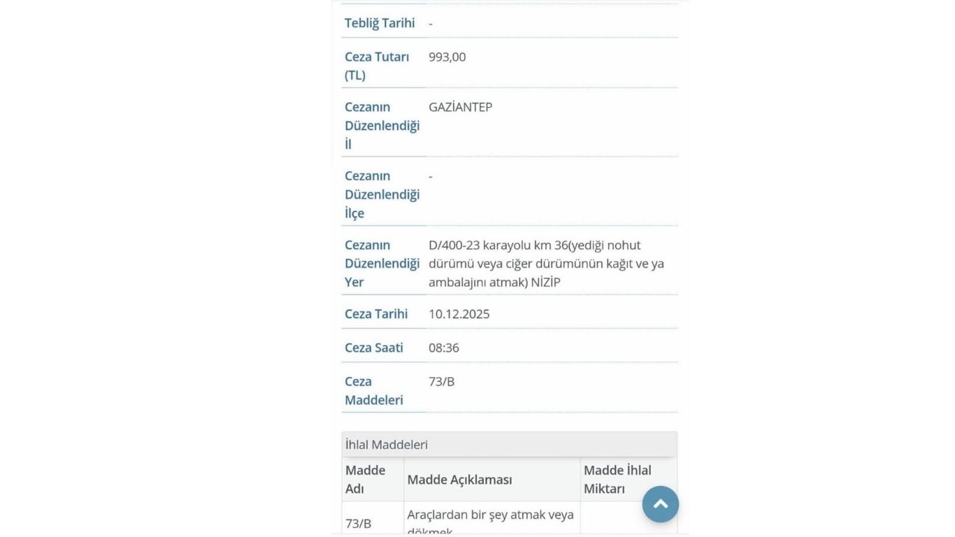 İzel Hanım'ın Sınıf Merkezine Hoş Geldiniz (5)