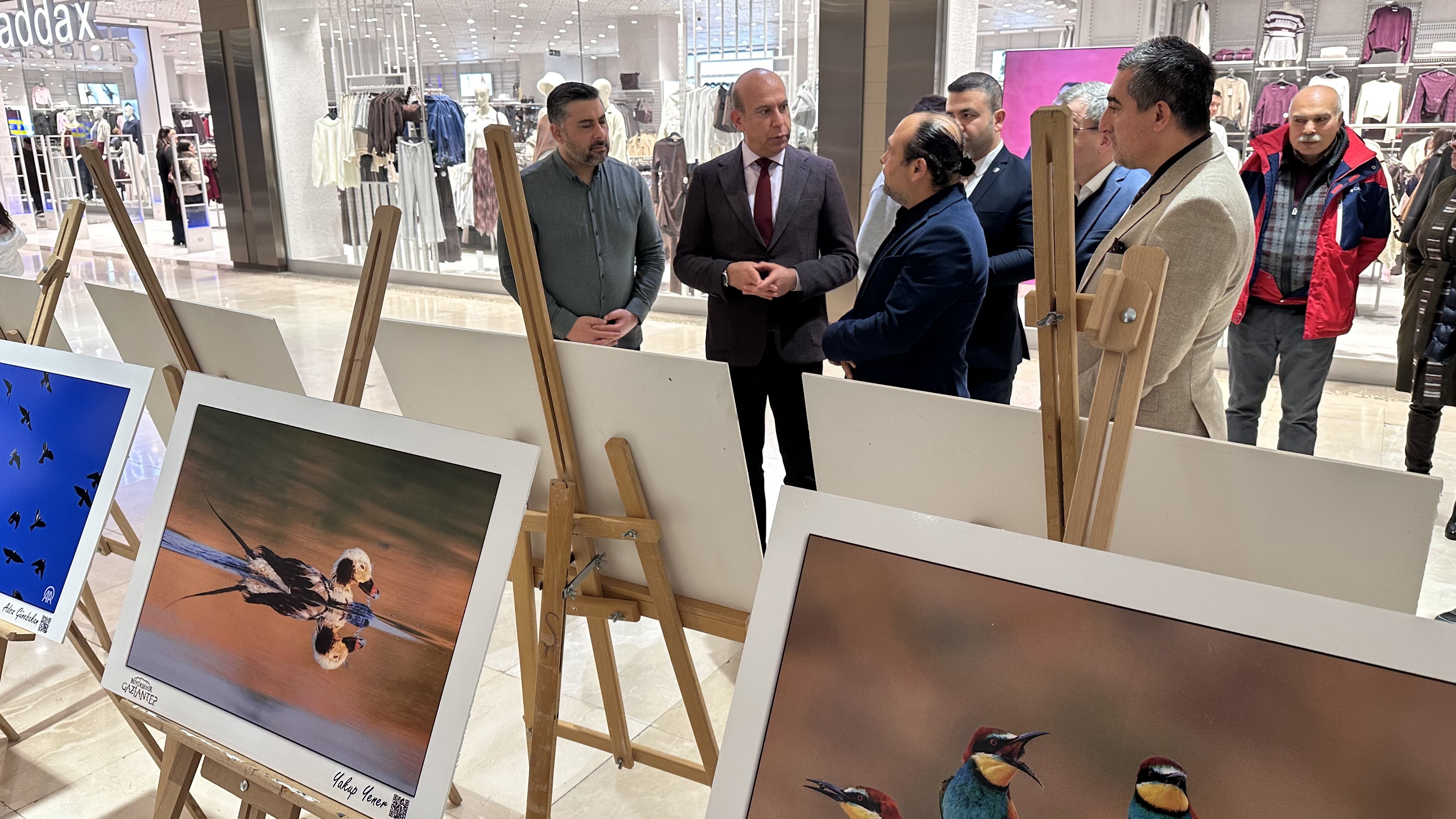 Gaziantep'in Kuşları (1)