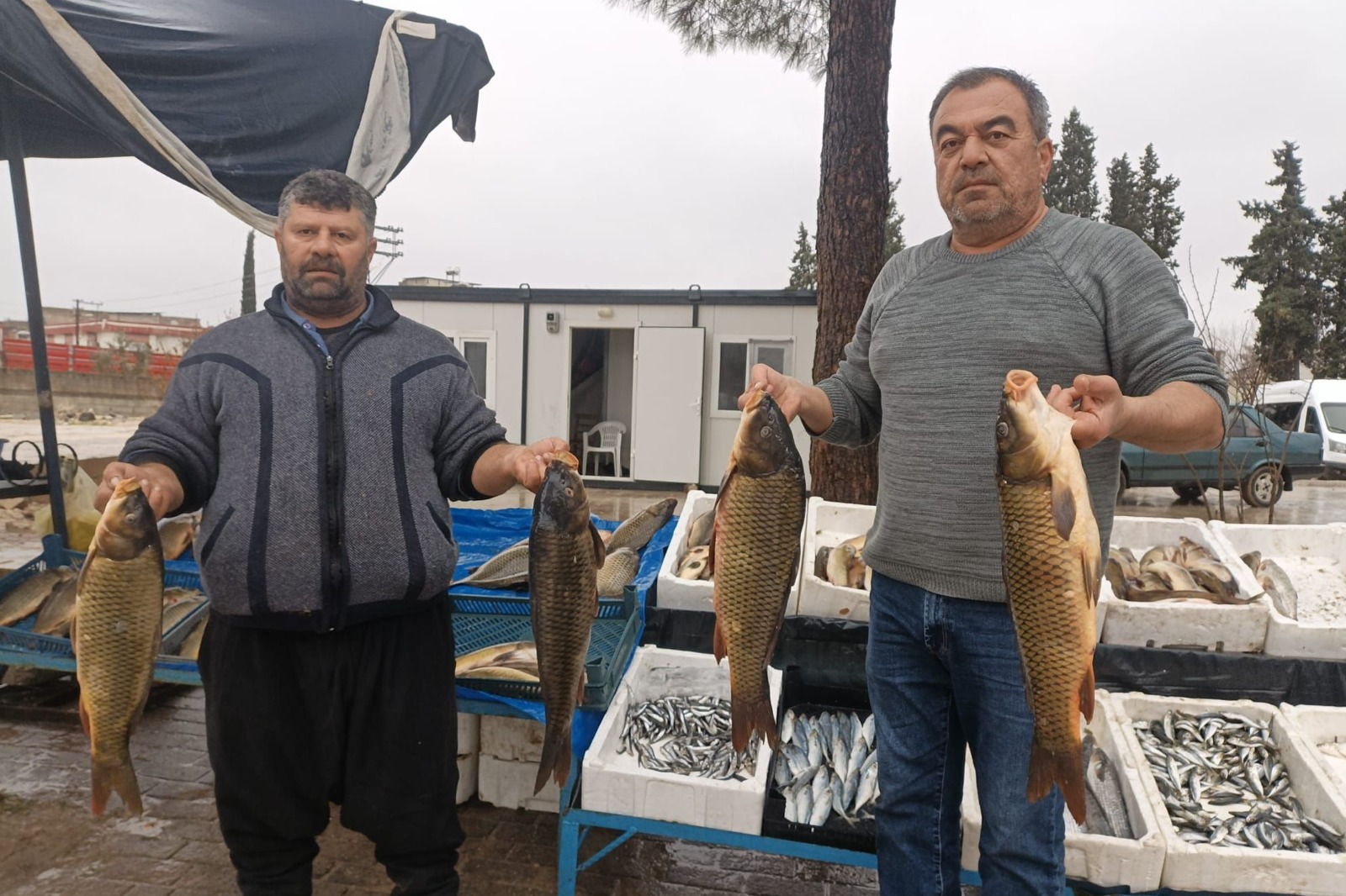 Whatsapp Image 2026 01 13 At 14.30.18