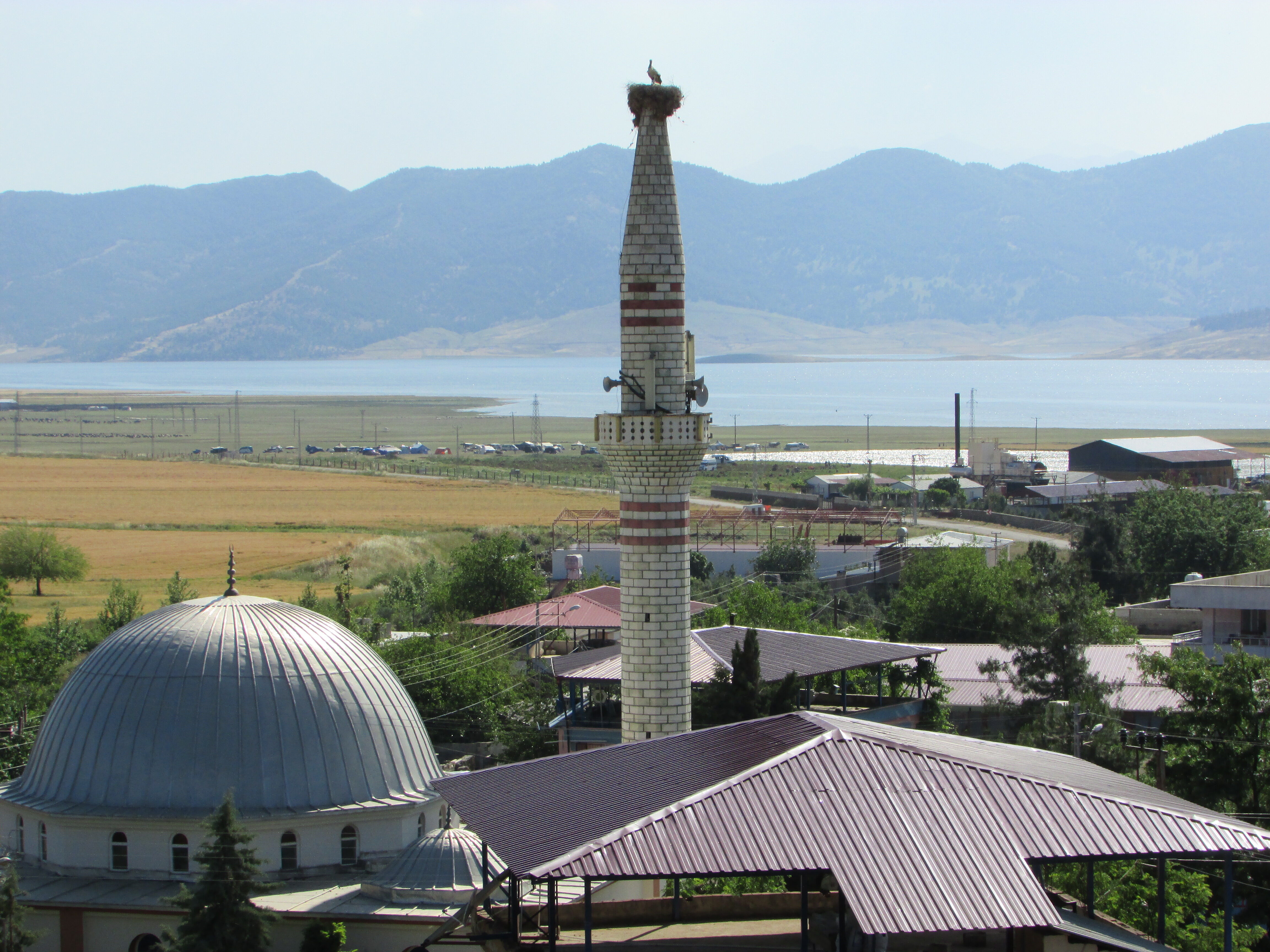 Hitit Leyleği (3)