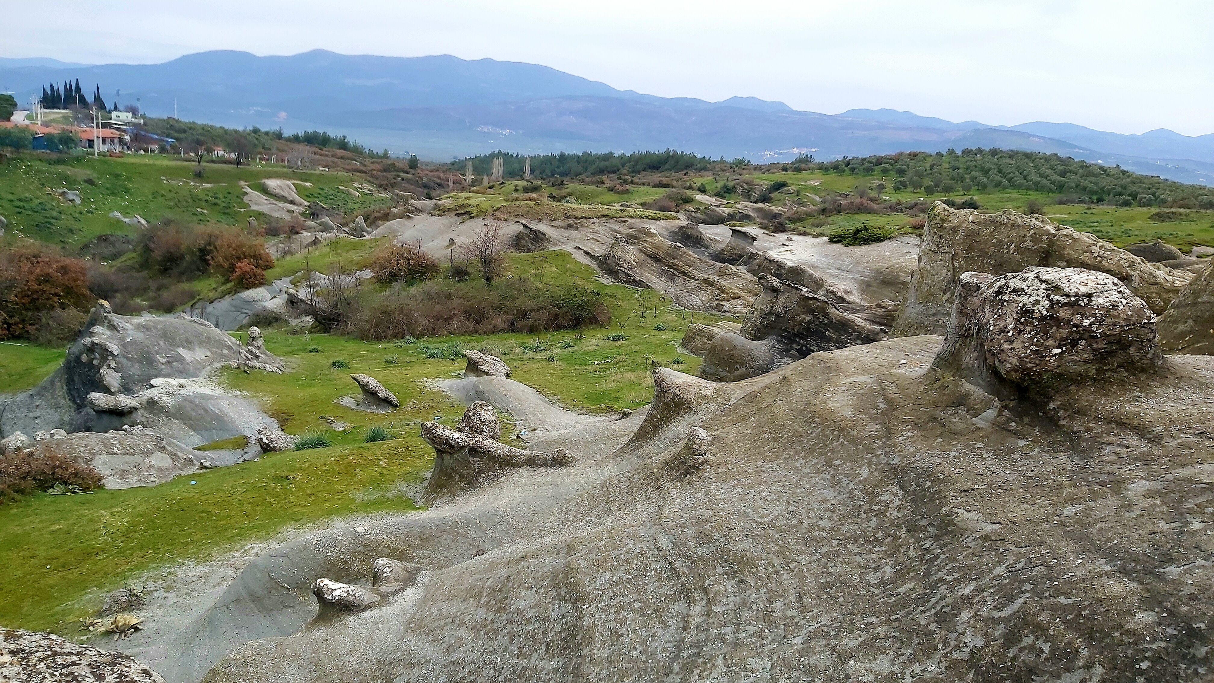 Tabiat Parkı (4)